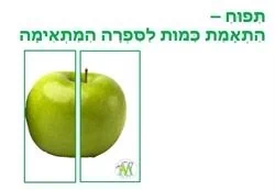 תפוח התאמת כמות למספר המתאים