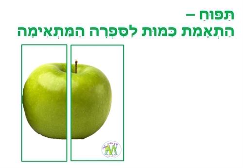 תפוח התאמת כמות למספר המתאים