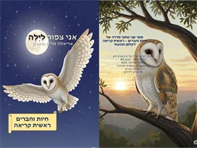 אני ציפור לילה