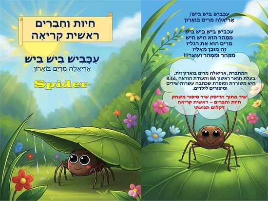 עכביש
